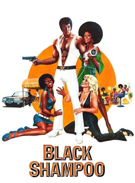 دانلود صوت دوبله فیلم Black Shampoo 1976
