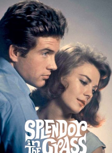 دانلود صوت دوبله فیلم Splendor in the Grass 1961