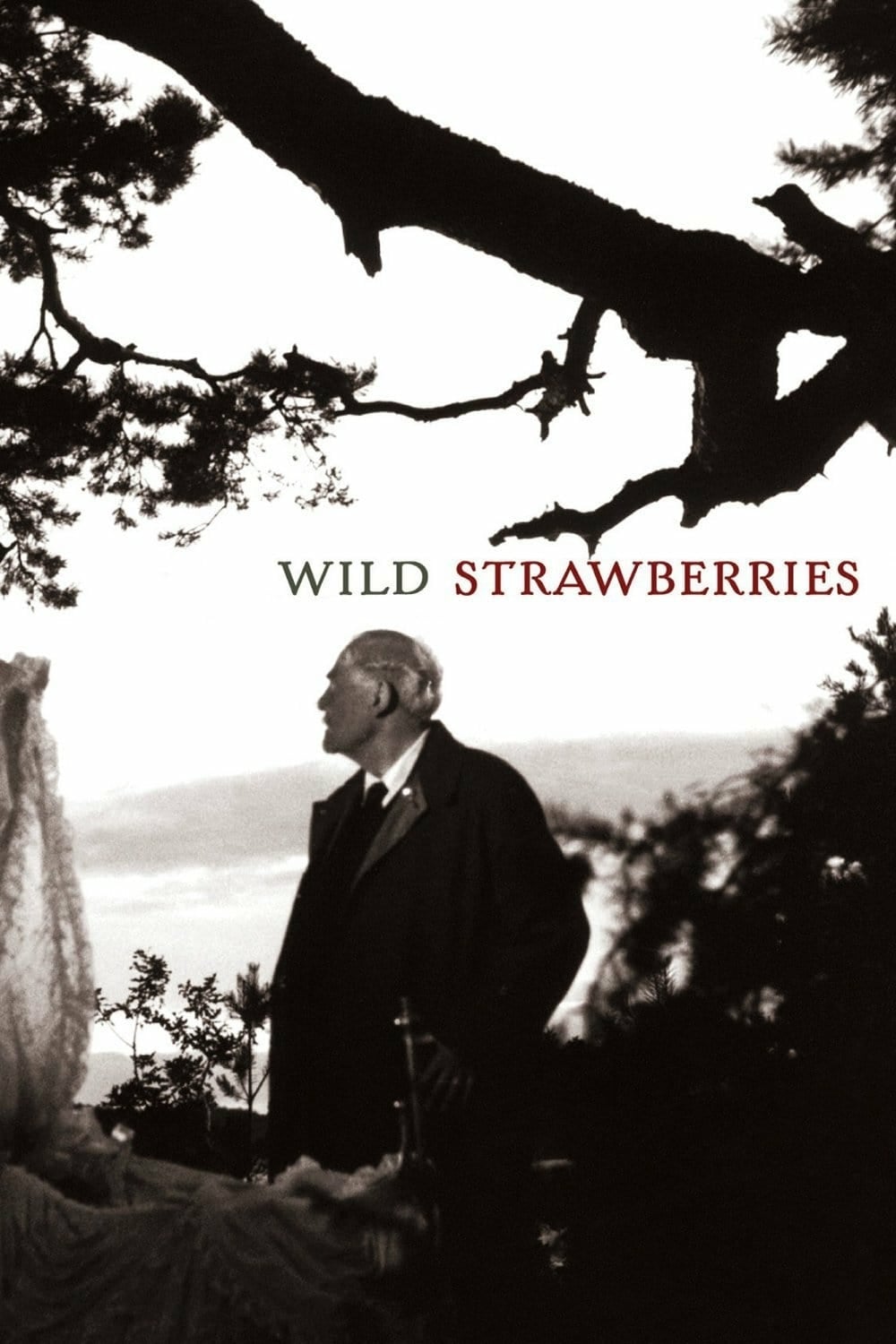 دانلود صوت دوبله فیلم Wild Strawberries 1957