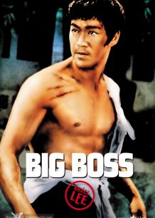 دانلود صوت دوبله فیلم The Big Boss 1971