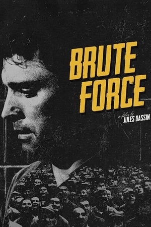 دانلود صوت دوبله فیلم Brute Force 1947