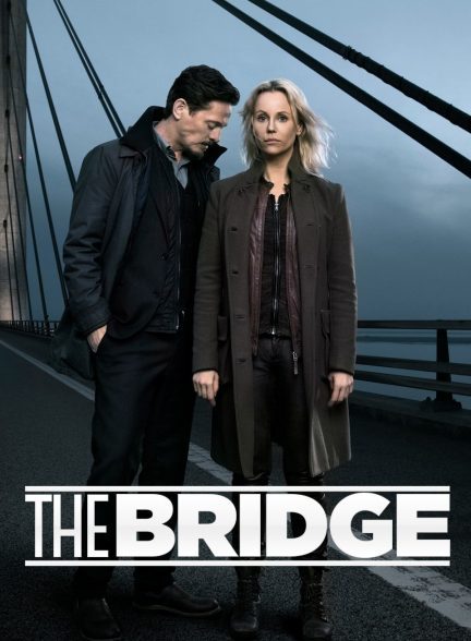 دانلود صوت دوبله سریال The Bridge