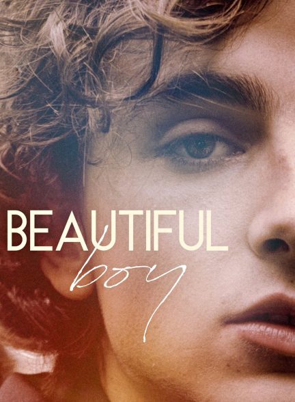 دانلود صوت دوبله فیلم Beautiful Boy