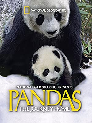 دانلود صوت دوبله Pandas: The Journey Home