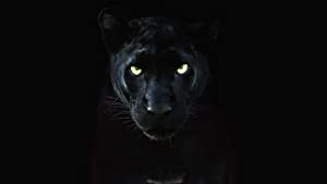دانلود صوت دوبله The Real Black Panther