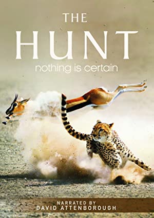 دانلود صوت دوبله The Hunt