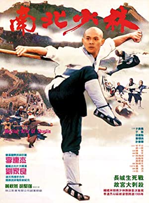 دانلود صوت دوبله Martial Arts of Shaolin
