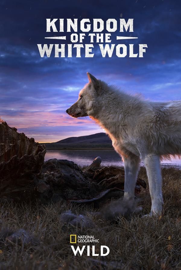 دانلود صوت دوبله سریال Kingdom of the White Wolf