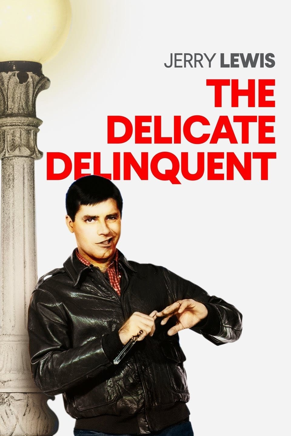 دانلود صوت دوبله فیلم The Delicate Delinquent
