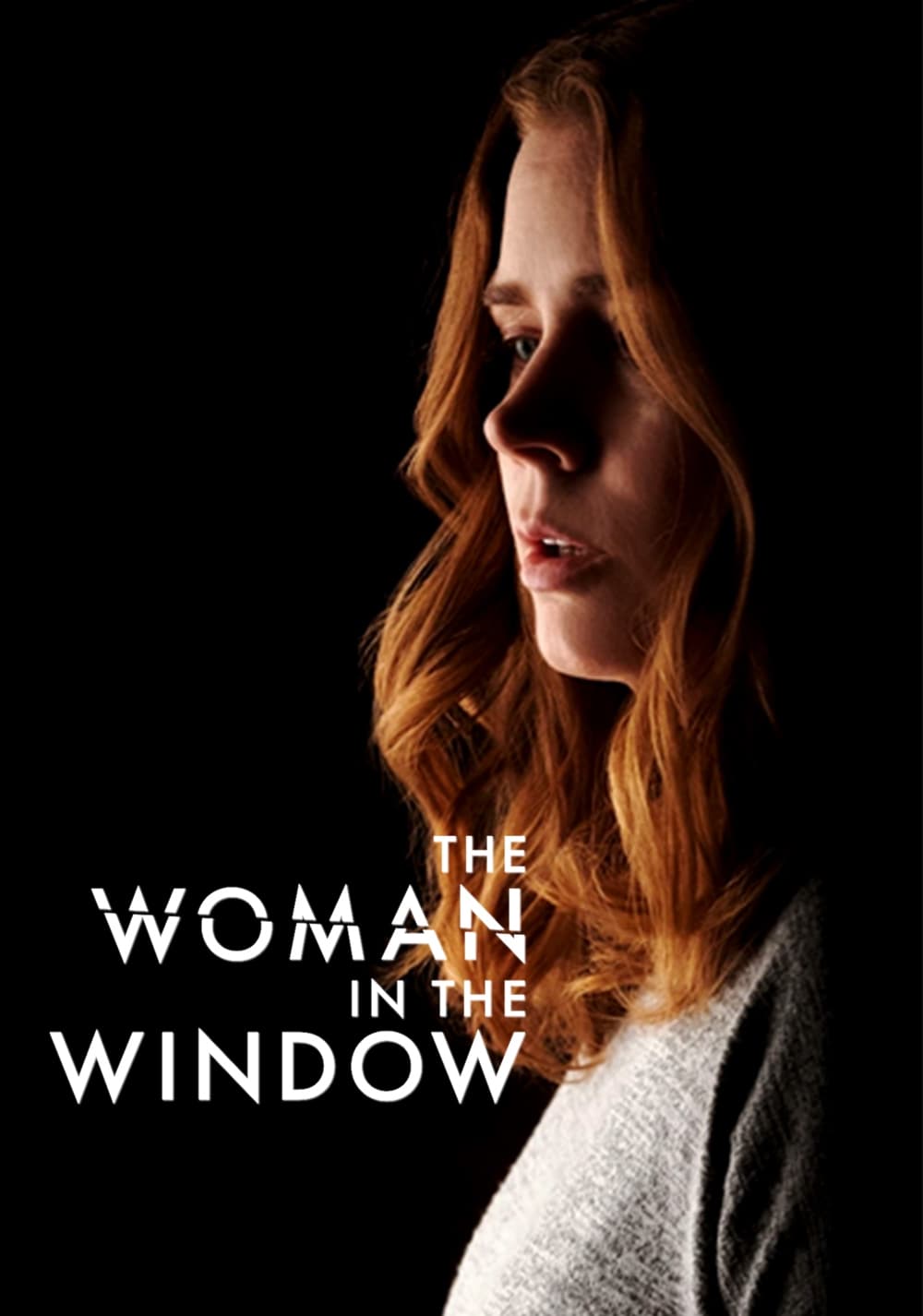 دانلود صوت دوبله فیلم The Woman in the Window