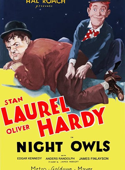 دانلود صوت دوبله فیلم Night Owls