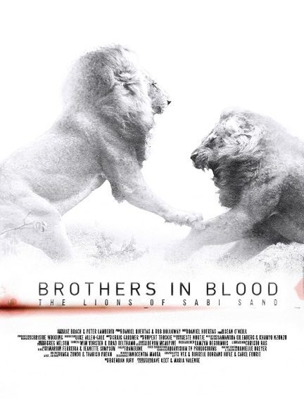 دانلود صوت دوبله فیلم Brothers in Blood: The Lions of Sabi Sand