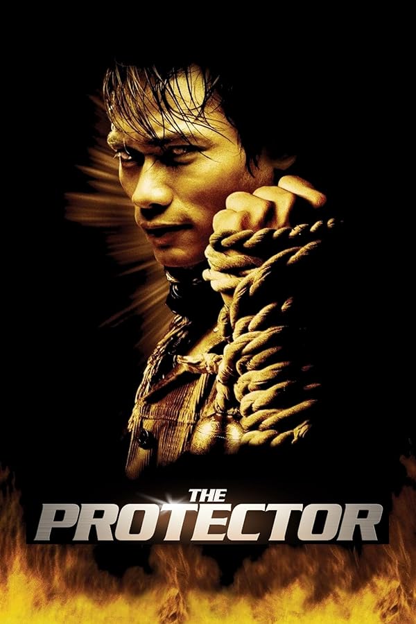 دانلود صوت دوبله فیلم The Protector 2005