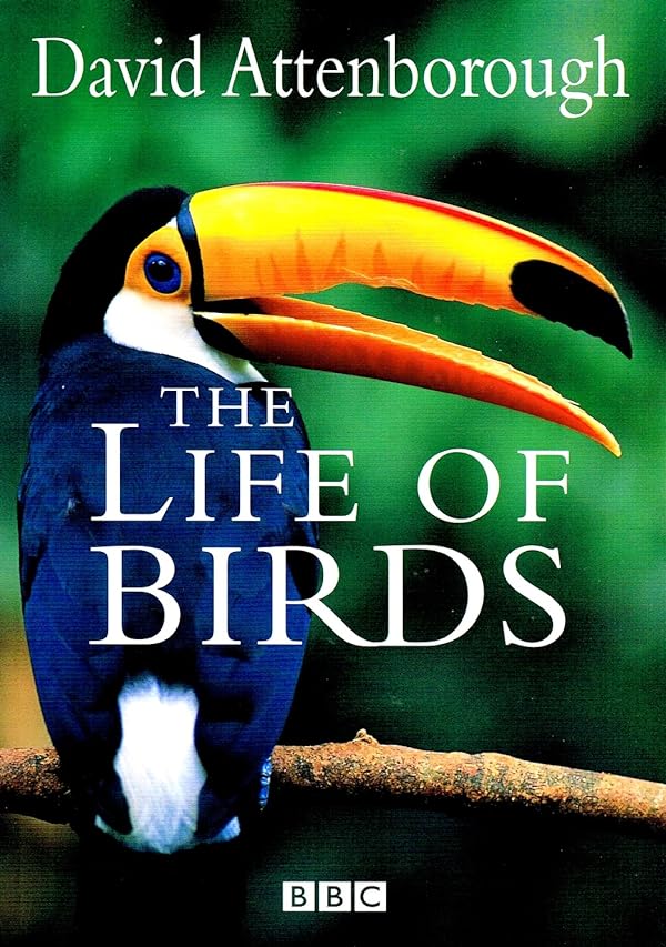 دانلود صوت دوبله سریال  The Life of Birds
