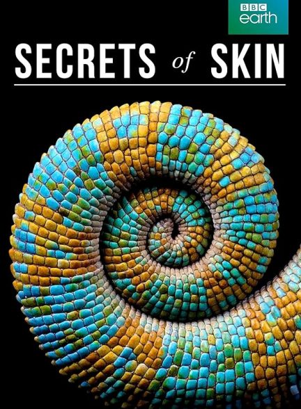 دانلود صوت دوبله سریال Secrets of Skin