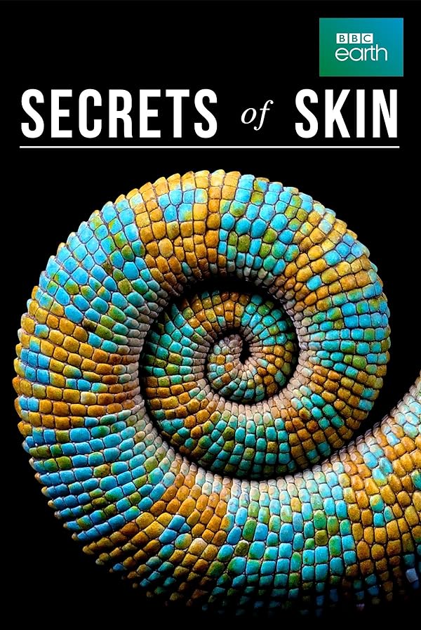 دانلود صوت دوبله سریال Secrets of Skin