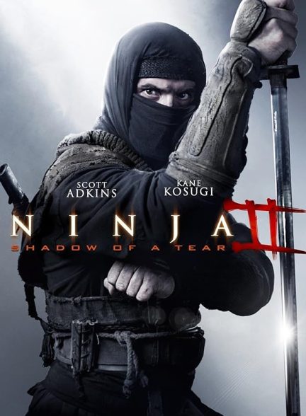 دانلود صوت دوبله فیلم Ninja: Shadow of a Tear 2013