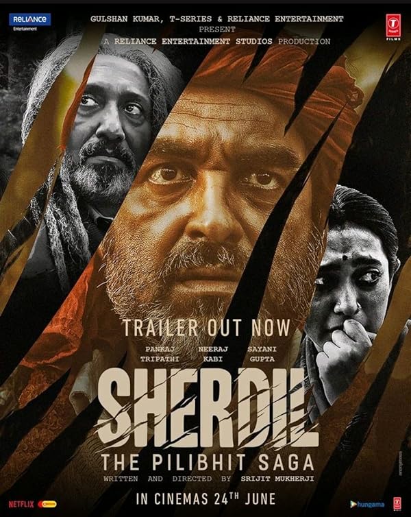 دانلود صوت دوبله فیلم Sherdil