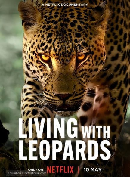 دانلود صوت دوبله فیلم Living with Leopards