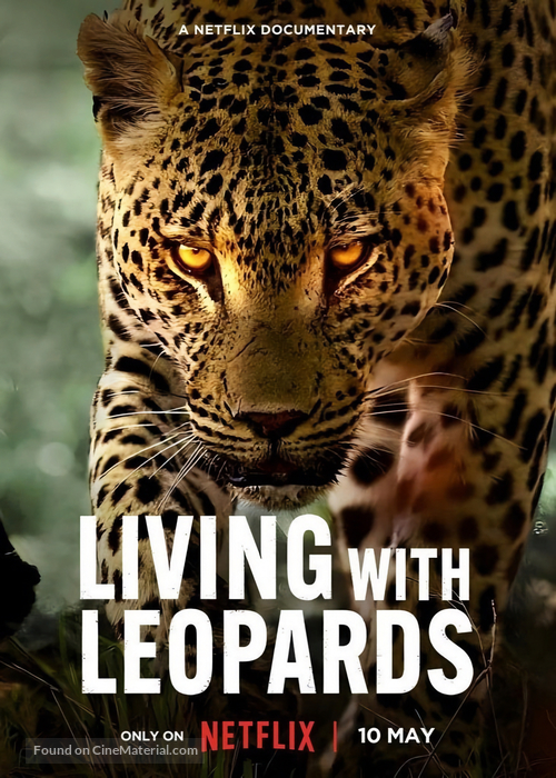 دانلود صوت دوبله فیلم Living with Leopards