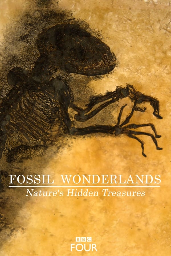 دانلود صوت دوبله سریال Fossil Wonderlands: Nature’s Hidden Treasures