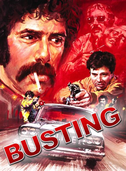 دانلود صوت دوبله فیلم Busting