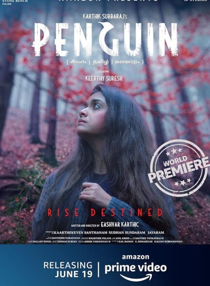دانلود صوت دوبله فیلم Penguin 2020