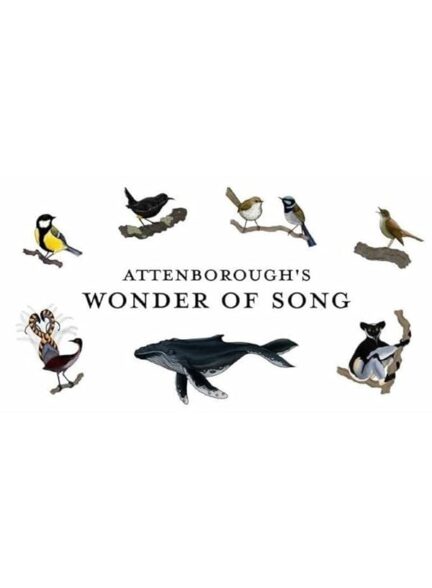 دانلود صوت دوبله فیلم Attenborough’s Wonder of Song