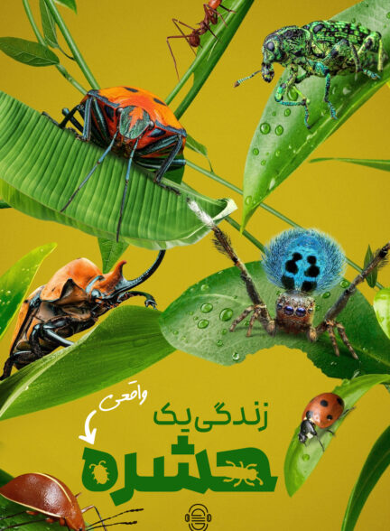 دانلود صوت دوبله سریال A Real Bug’s Life