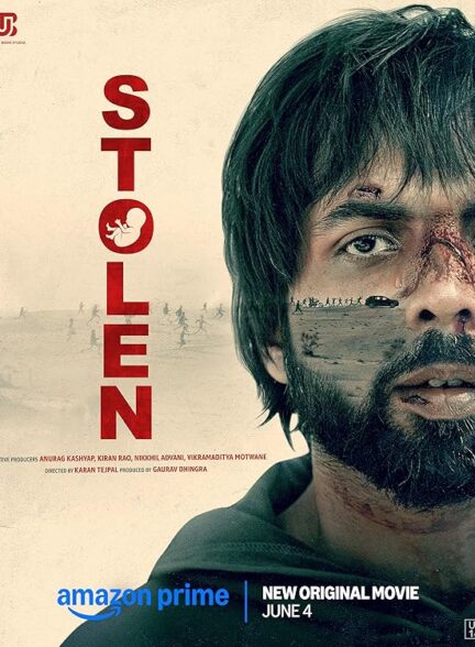 دانلود صوت دوبله فیلم Stolen