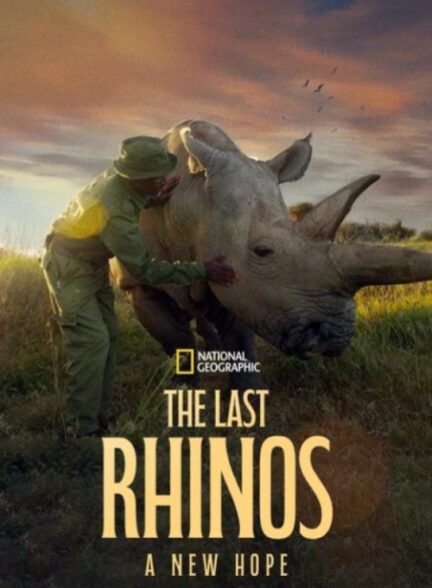 دانلود صوت دوبله فیلم The Last Rhinos: A New Hope