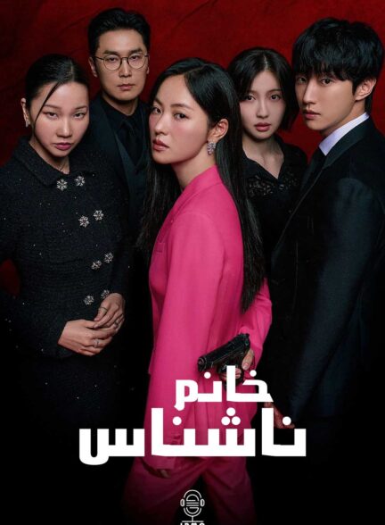 دانلود صوت دوبله سریال Ms. Incognito